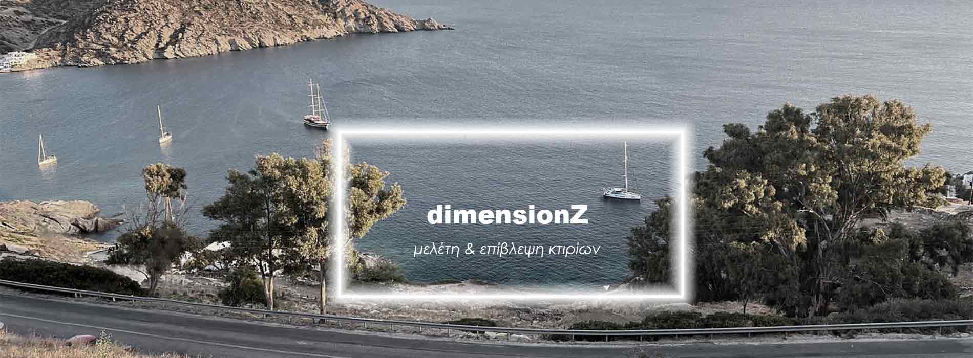 about dimensionZ company